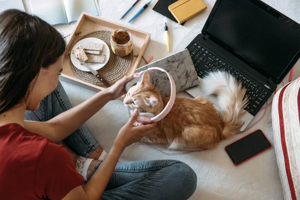 Posiadanie kotów w domu.